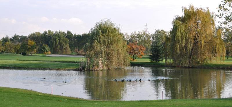 Golf Hotel Resort - Aktivite