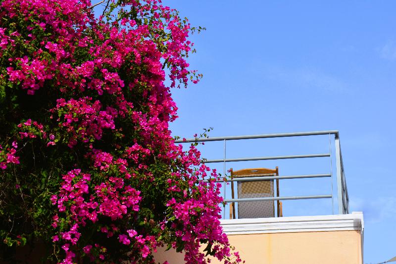 Kykladonisia Traditional Settlement - Teras