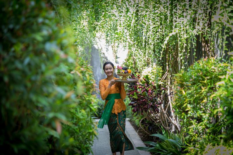 The Light Exclusive Villas & Spa - Genel