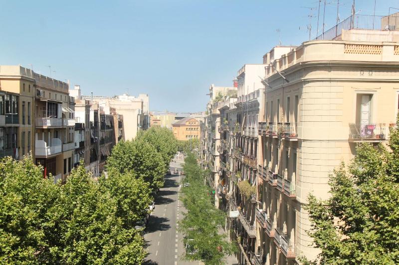 Som Nit Triomf - Oda