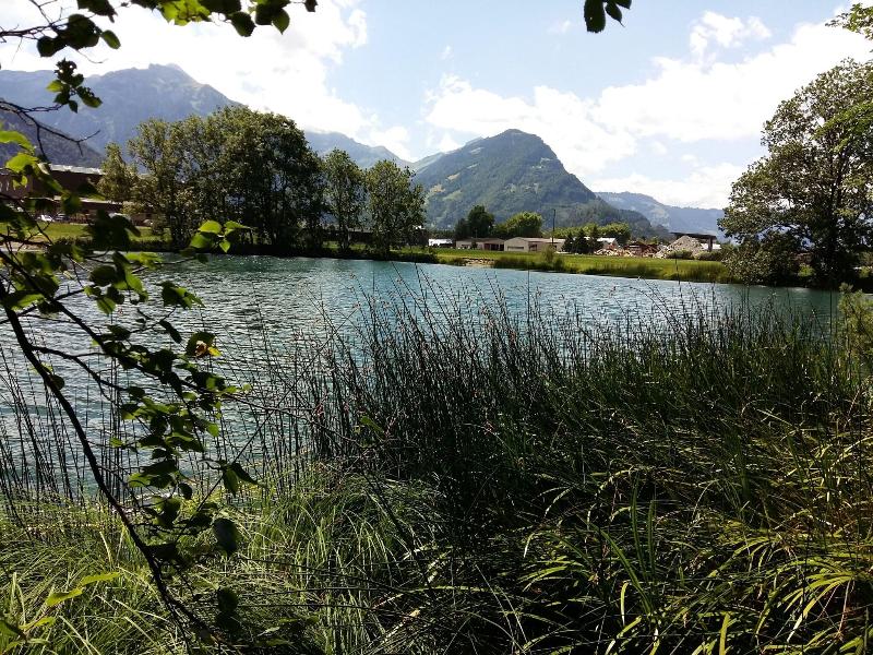 Gasthof Schoenegg - Aktivite