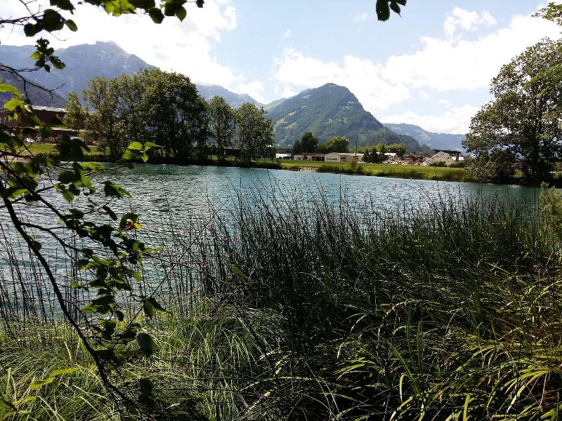 Gasthof Schoenegg - Aktivite