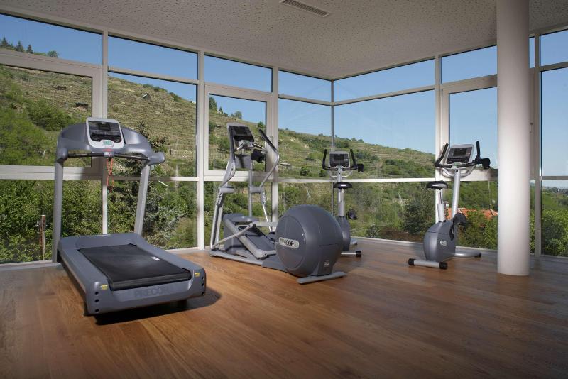 Steigenberger Hotel & Spa Krems - Aktivite