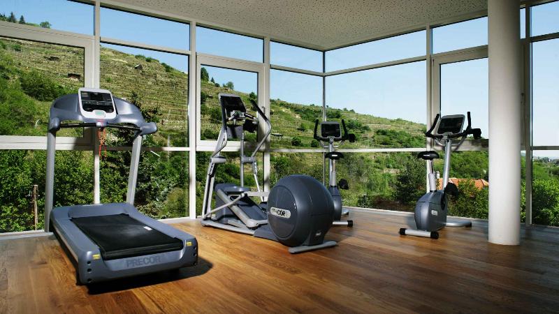 Steigenberger Hotel & Spa Krems - Aktivite