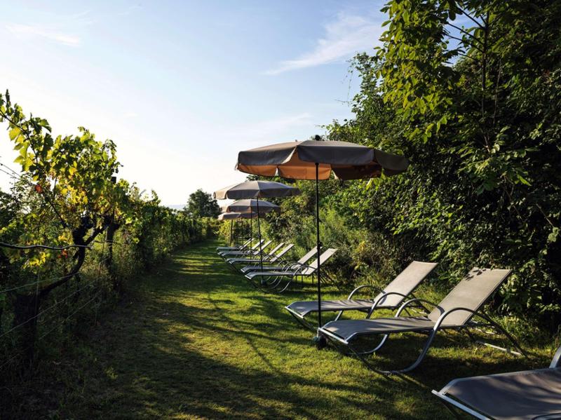 Steigenberger Hotel & Spa Krems - Genel