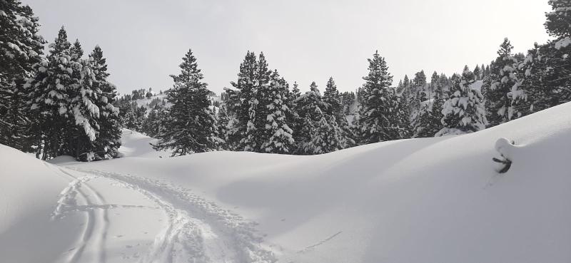 Snö Apartamentos Mont Romies Unhola - Genel