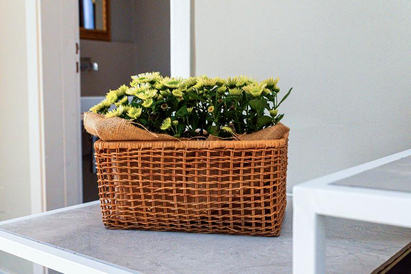 B&B Palazzo Cerami - Oda