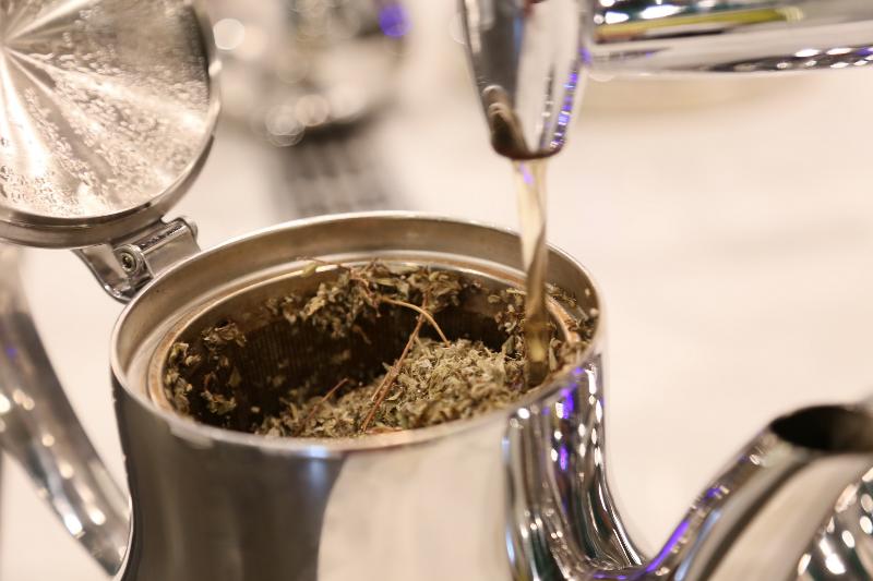 ASTORIA Hotel & Medical Spa, Depandance Wolker - Aktivite