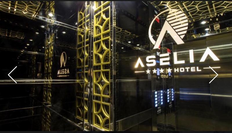Aselia Hotel - Genel