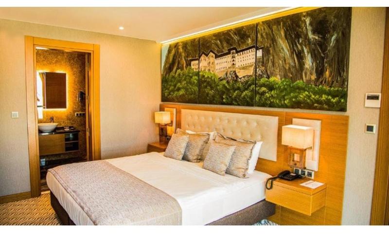 Aselia Hotel - Oda