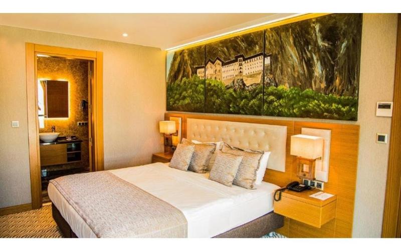 Aselia Hotel - Oda