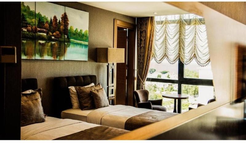 Aselia Hotel - Oda