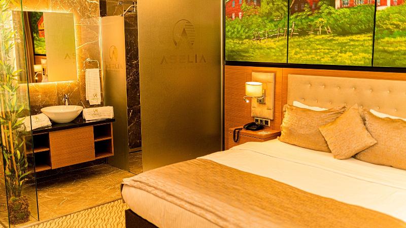 Aselia Hotel - Oda