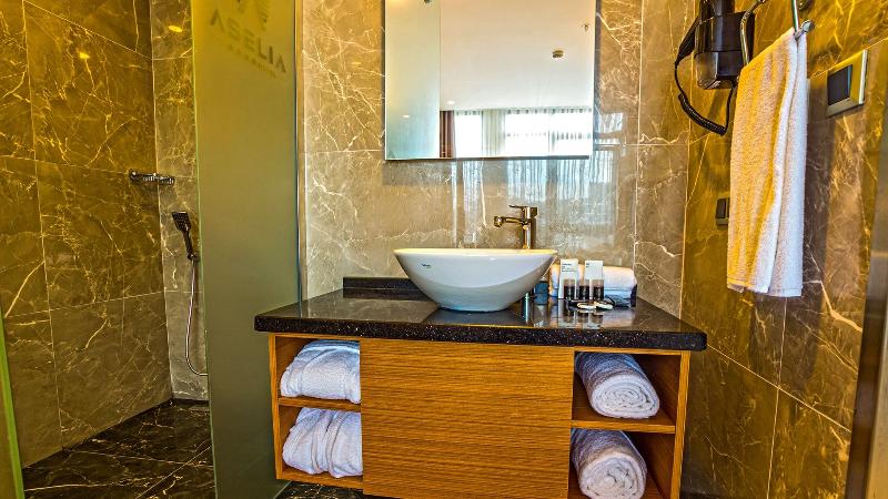 Aselia Hotel - Oda
