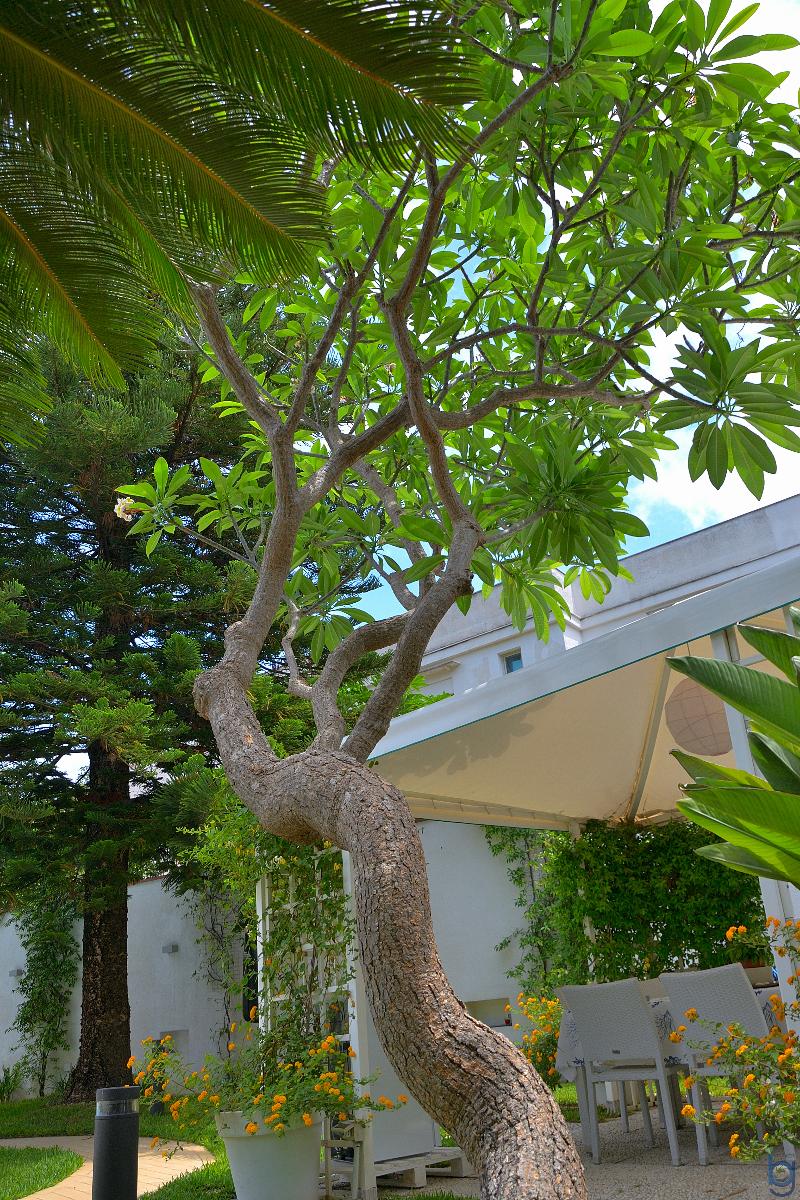 B&B Mondello Resort - Genel