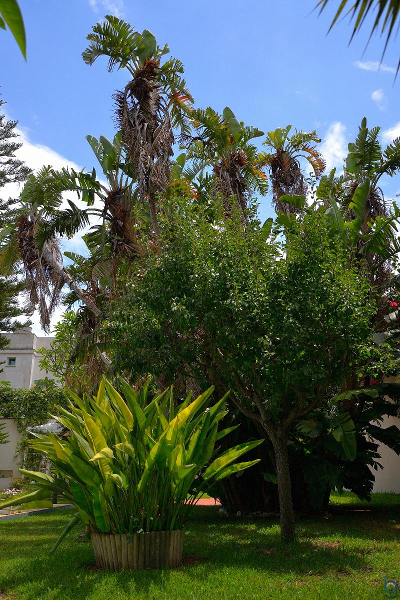 B&B Mondello Resort - Genel