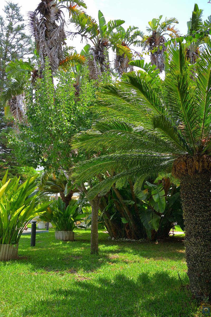 B&B Mondello Resort - Genel