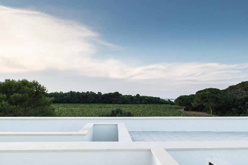 Masseria Mongio' dell 'Elefante - Teras