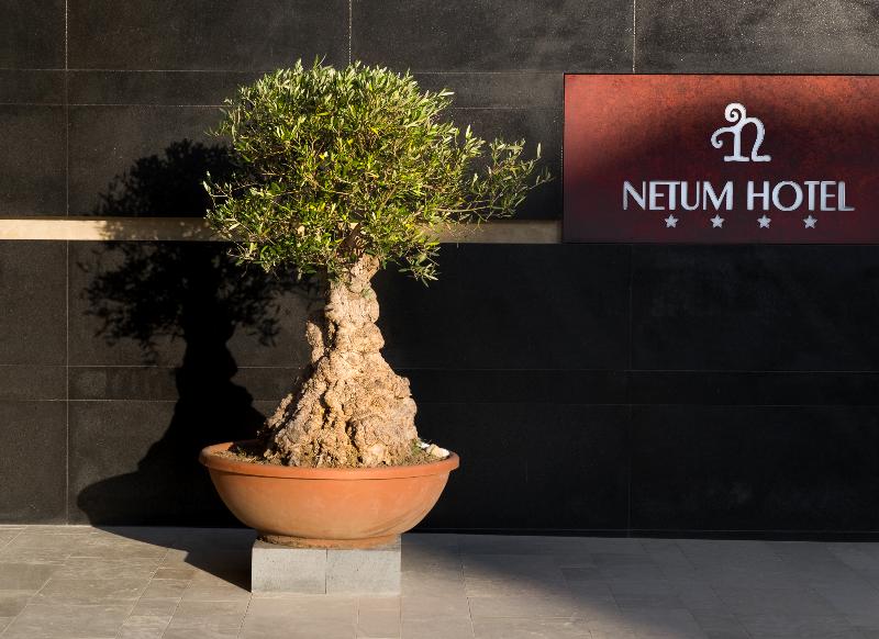 Netum Hotel - Genel