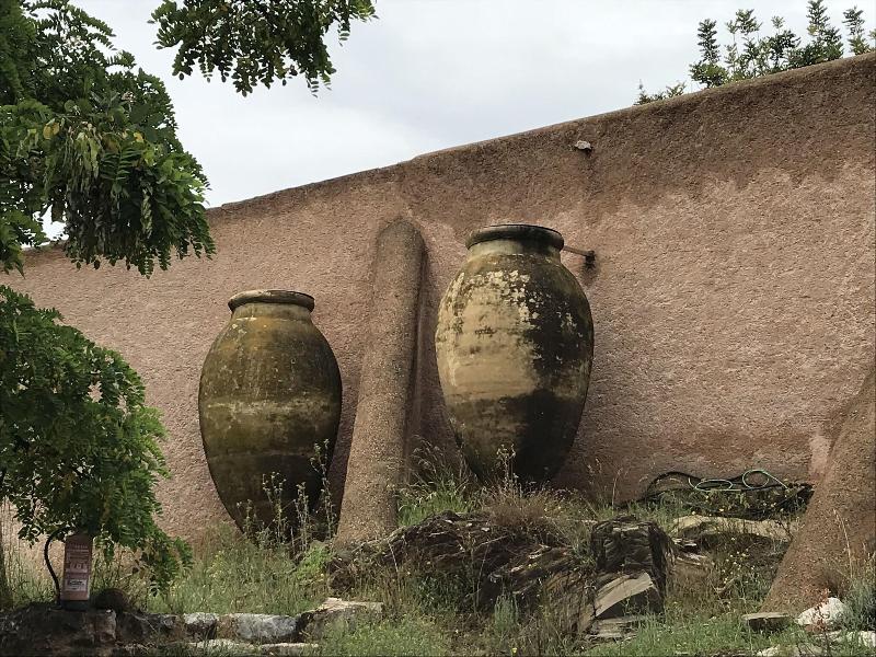 Terra Dominicata - Genel