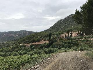 Terra Dominicata fotoÄŸrafÄ±