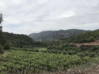 Terra Dominicata fotoÄŸrafÄ±