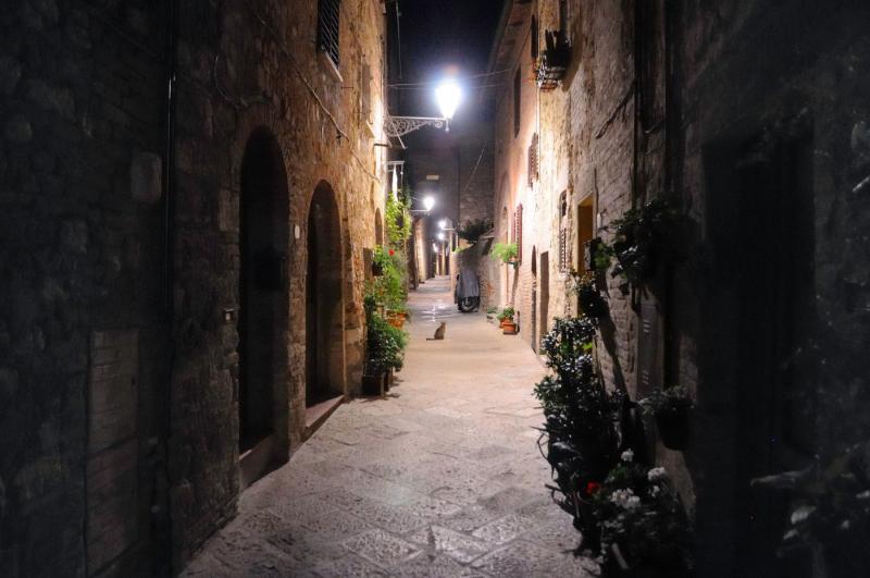 Palazzo Pacini - Genel