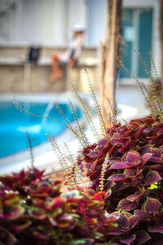Sealife Lounge Hotel +18 Adult Only fotoÄŸrafÄ±