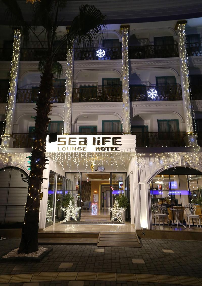Sealife Lounge Hotel +18 Adult Only - Genel