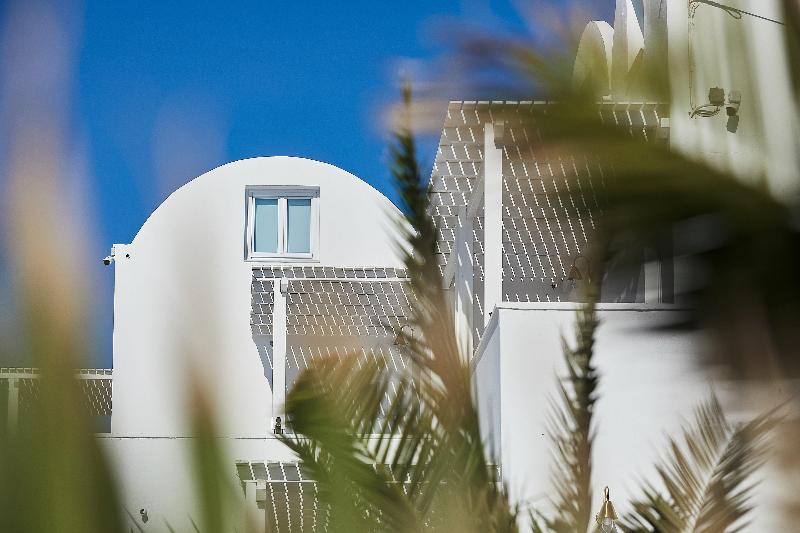 Petri Suites - Genel