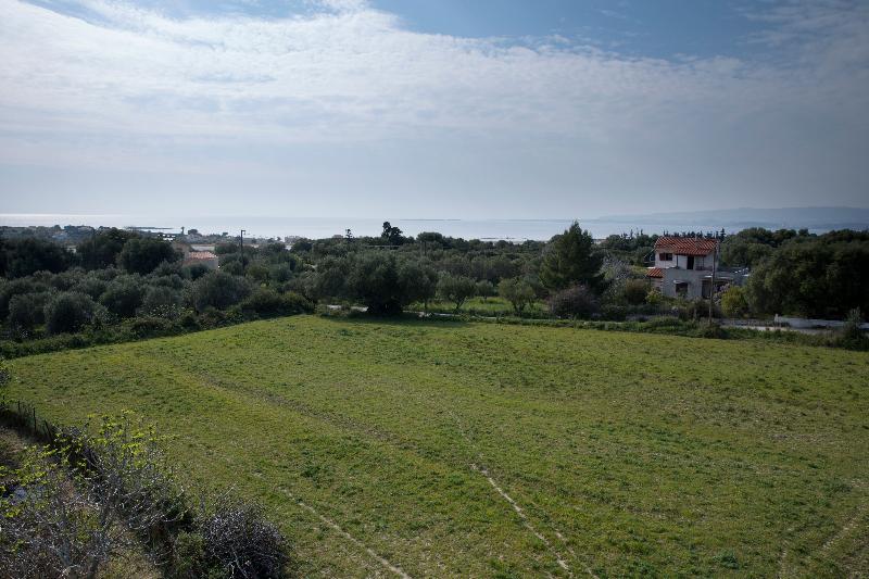 Maggana Residence - Genel