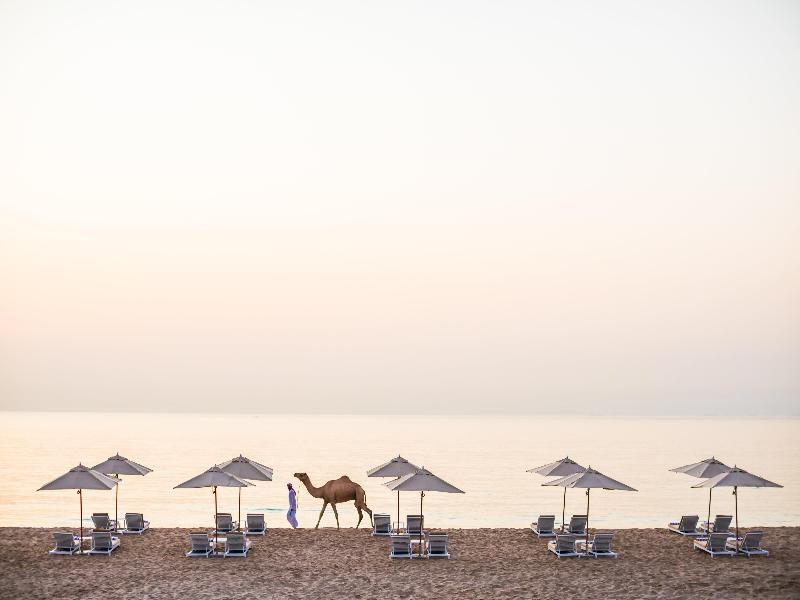 InterContinental Fujairah Resort - Genel