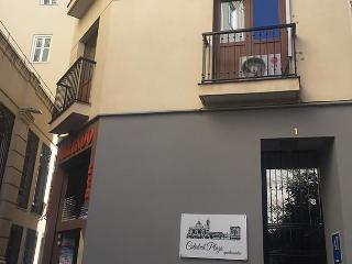 Apartamentos Catedral Plaza 3000 otel fotoğrafı