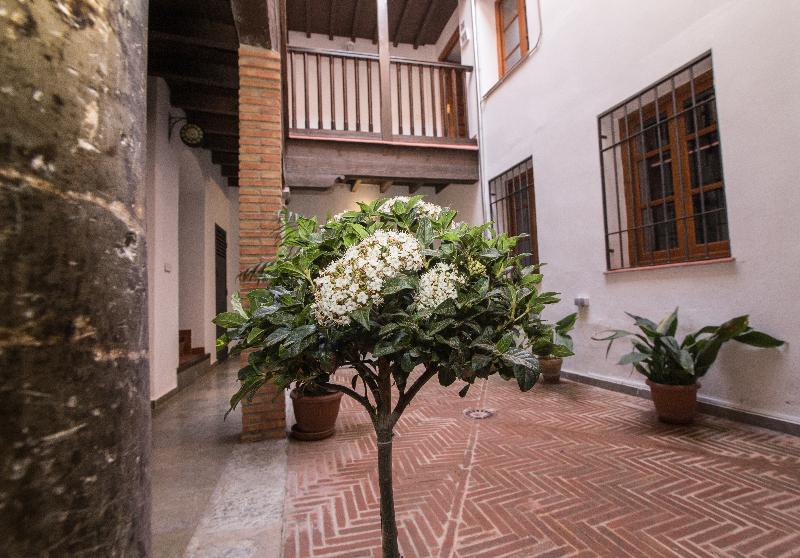 Apartamentos Nahira Suites 3000 - Genel