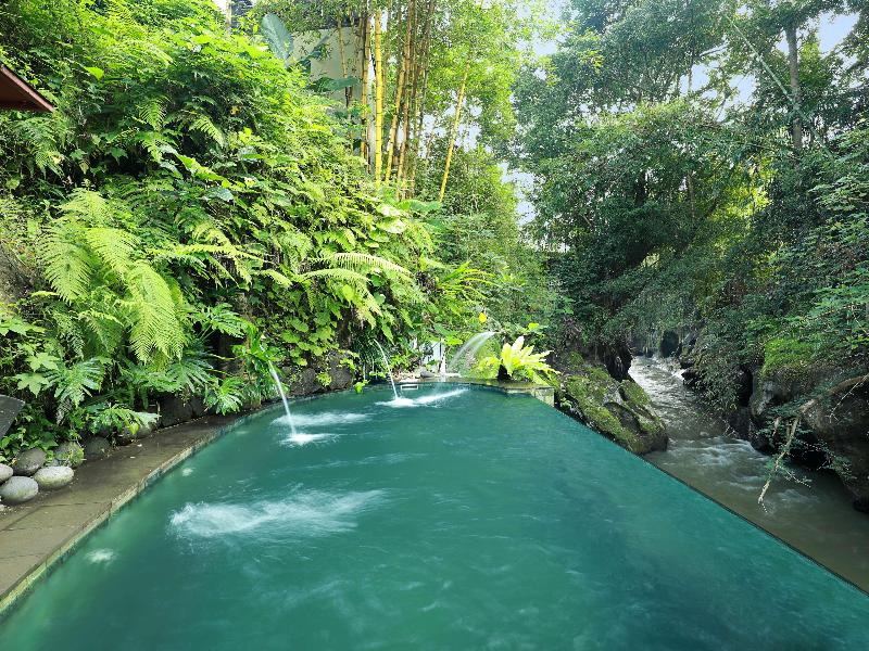 Seres Springs Resort And Spa - Havuz