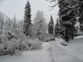 Spa Resort Libverda - Villa Friedland fotoÄŸrafÄ±