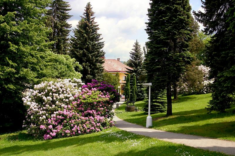 Spa Resort Libverda - Hotel Panorama - Genel
