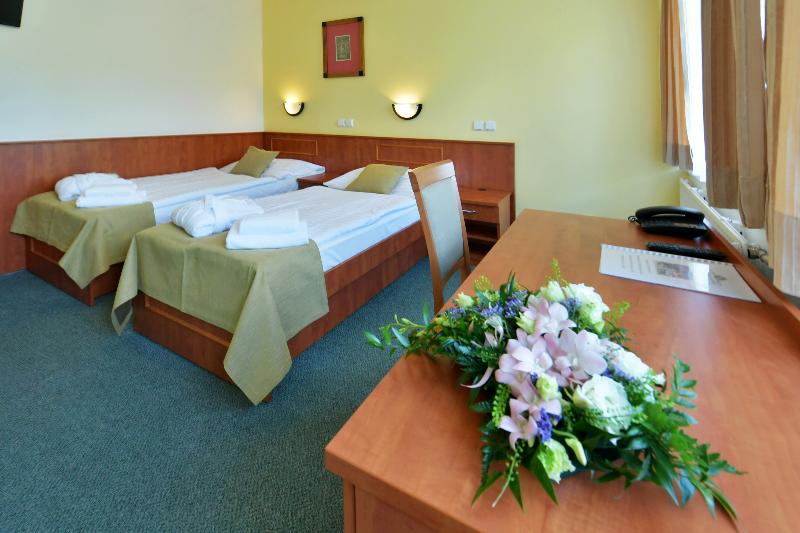 Spa Resort Libverda - Hotel Panorama - Oda