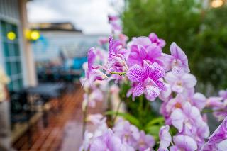 The Orchid House 153 fotoÄŸrafÄ±