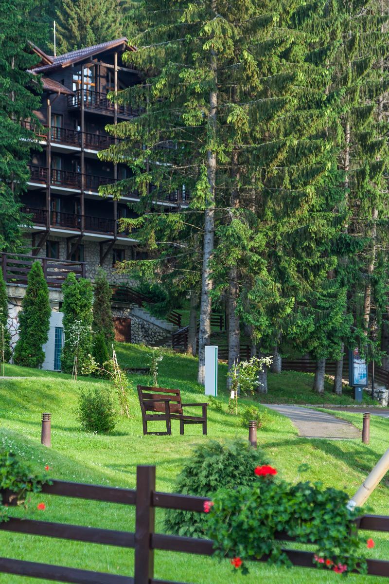 Ana Hotels Bradul Poiana Brasov - Genel