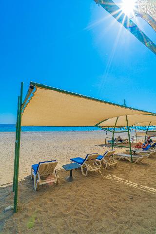 Grand Bahama Beach Hotel fotoÄŸrafÄ±