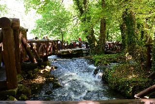 Vila Drina fotoÄŸrafÄ±