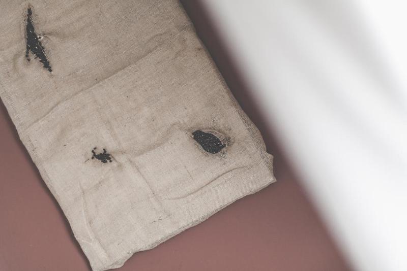 Bio Hotel Palermo - Oda