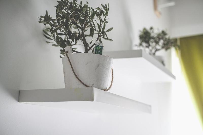 Bio Hotel Palermo - Oda