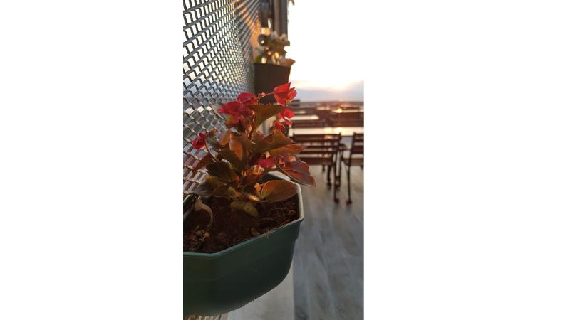 Funda Hotel - Teras