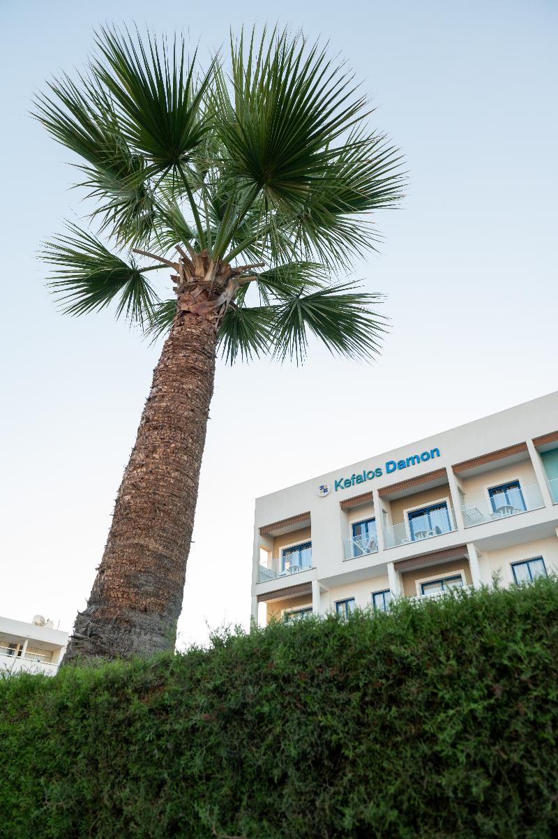 Kefalos Damon Hotel Apts - Genel