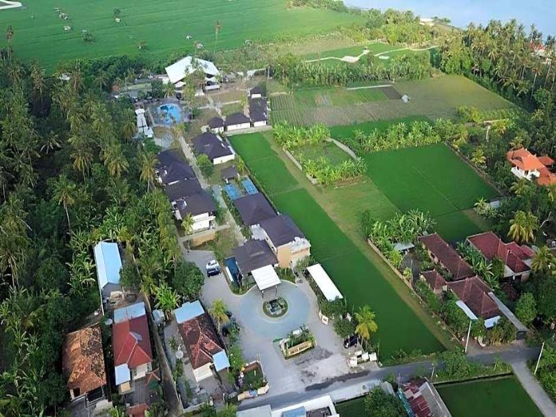Brits Resort Lovina - Genel