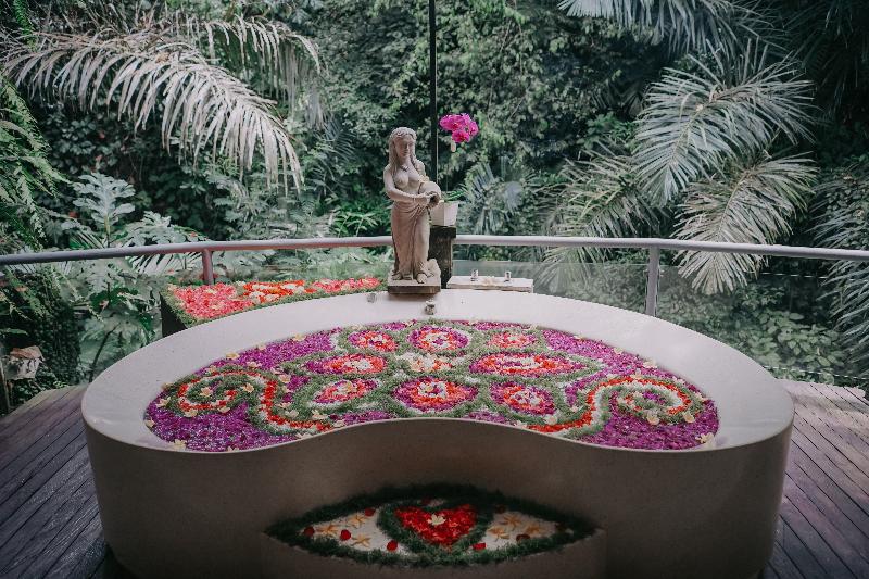 The Sankara Suite and Villas - Genel