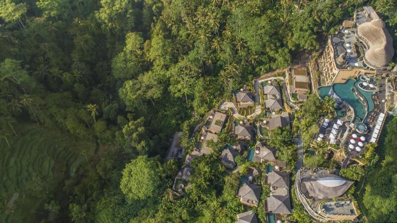 The Kayon Jungle Resort by Pramana - Genel