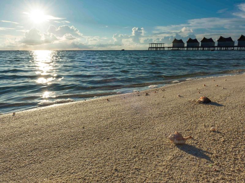 Kuredhivaru Resort & SPA Maldives - Aktivite
